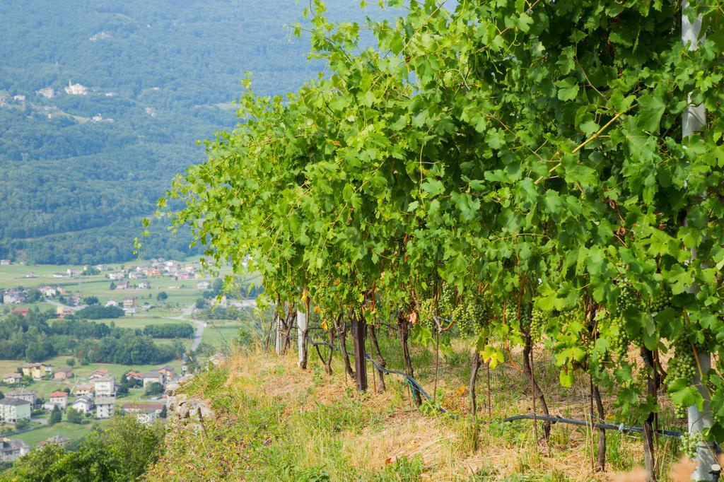 B&B Ca' La Vedescia Teglio Luaran gambar