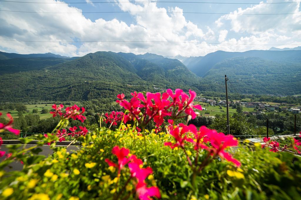 B&B Ca' La Vedescia Teglio Luaran gambar