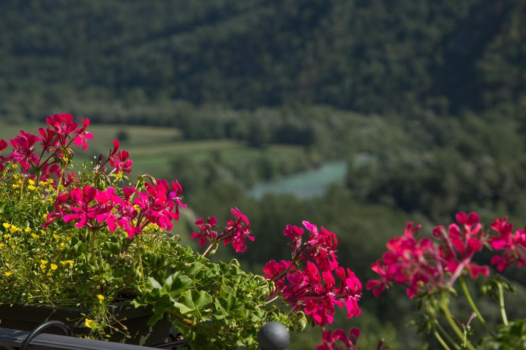 B&B Ca' La Vedescia Teglio Luaran gambar